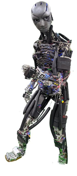 Biomimetic Musculoskeletal Humanoid Robots image